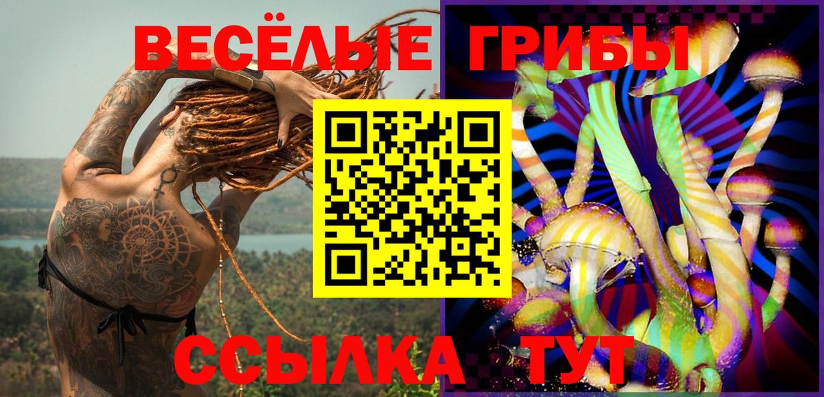 Ейск  Галлюциногенные грибы мицелий  Вход с VPN 